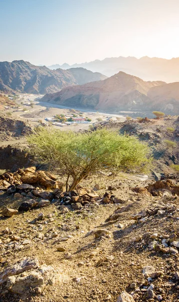 Fujairah City Image